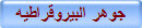 جوهر البيروقراطيه