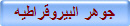 جوهر البيروقراطيه