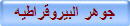 جوهر البيروقراطيه