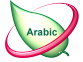 Arabic Log